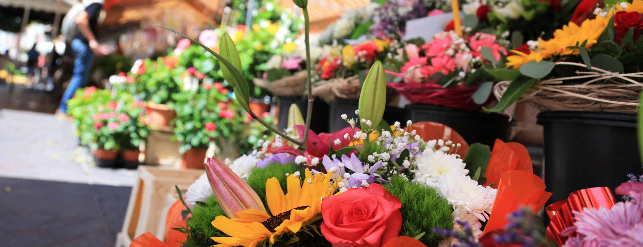 Fleuriste Rive-Sud, Le Marché aux fleurs du Village
