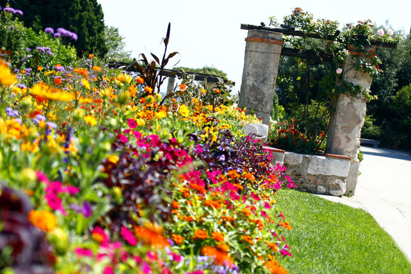 Jardin fleur i du Monastère de Cimiez