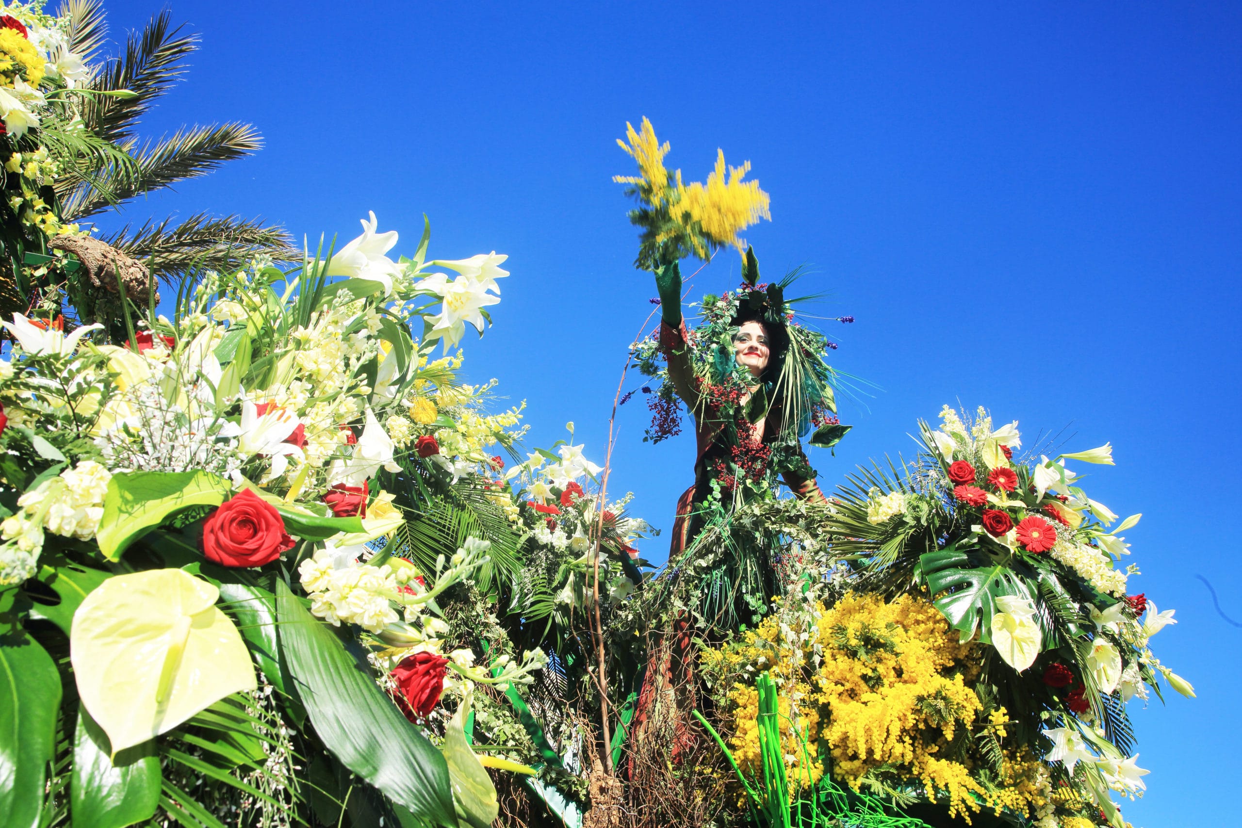 Bataille des fleurs